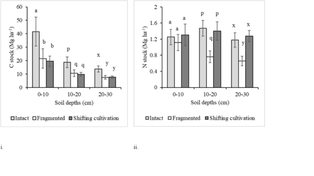 Effects of fragmentation and shifting cultivation on soil carbon and ...